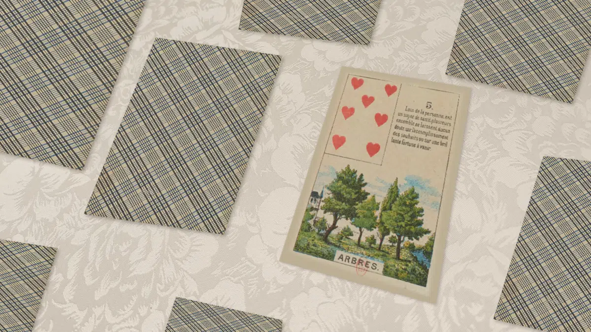 Carte Arbre n°5 du Petit Lenormand en situation de tirage