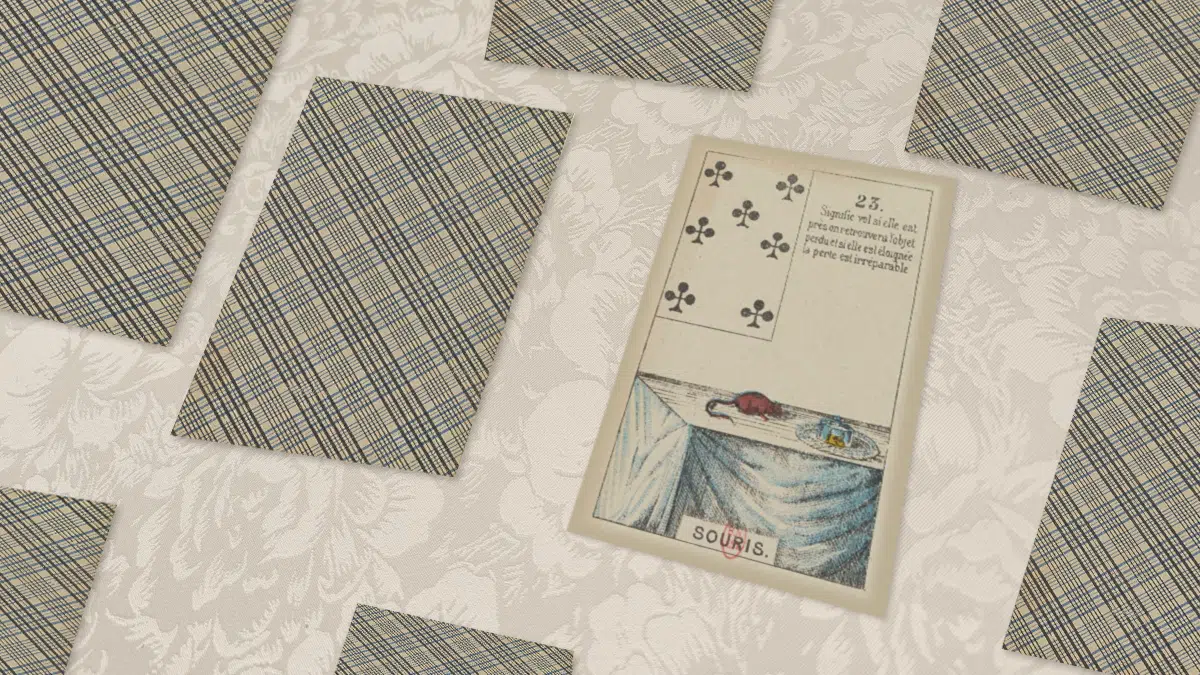 Carte Souris n°23 du Petit Lenormand en situation de tirage